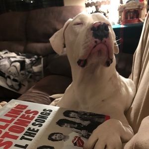 Meet your Posher, Keith